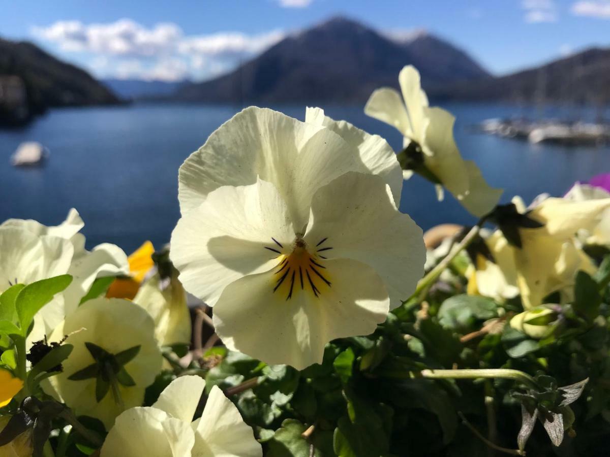 Gli Oleandri Hotel Bellano Buitenkant foto