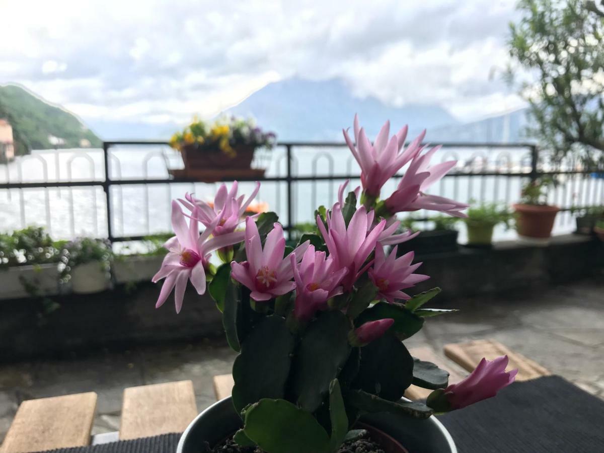 Gli Oleandri Hotel Bellano Buitenkant foto