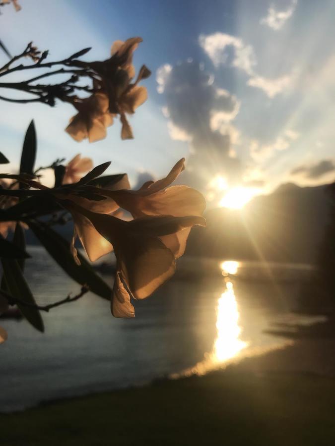 Gli Oleandri Hotel Bellano Buitenkant foto